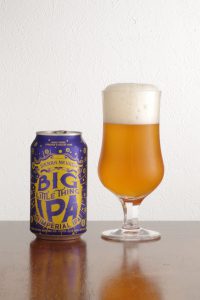 Siera Nevada Big Little Thing IPA