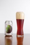 Streetlight Brewing Tidal Zone