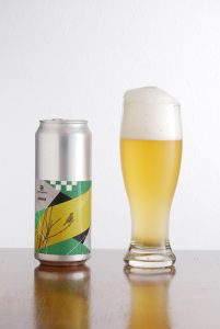 Teenage Brewing Leikkimökki